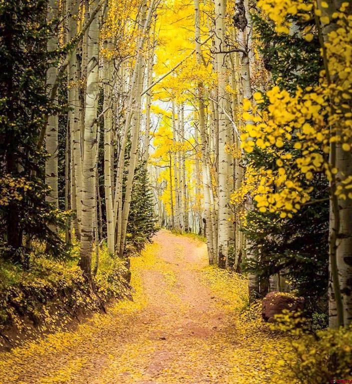 Tbd Buckhorn Mountain Ranch Property Photo 13