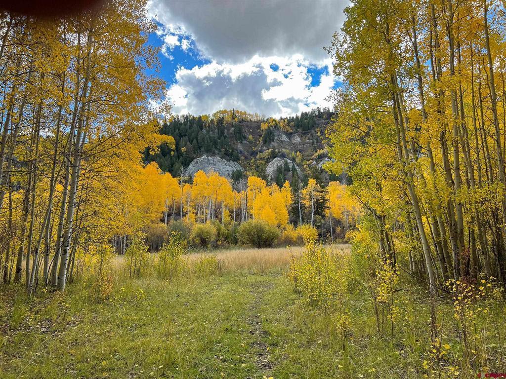 Tbd Buckhorn Mountain Ranch Property Photo 14