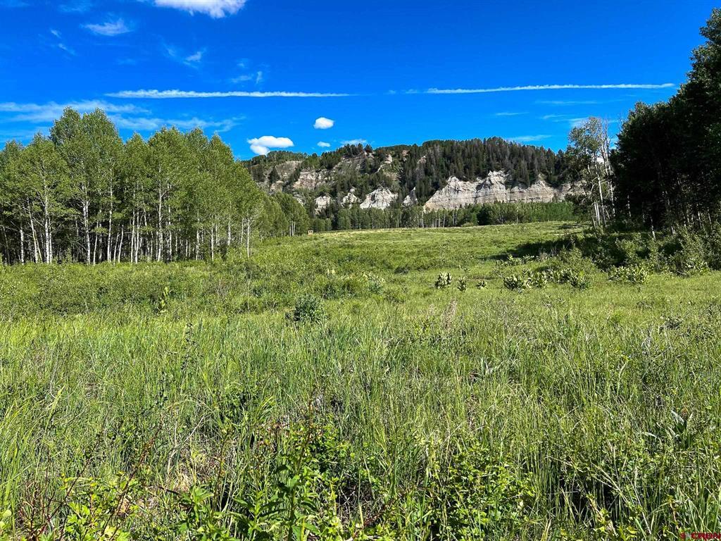 Tbd Buckhorn Mountain Ranch Property Photo 16