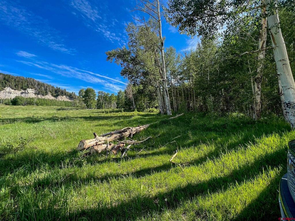 Tbd Buckhorn Mountain Ranch Property Photo 17