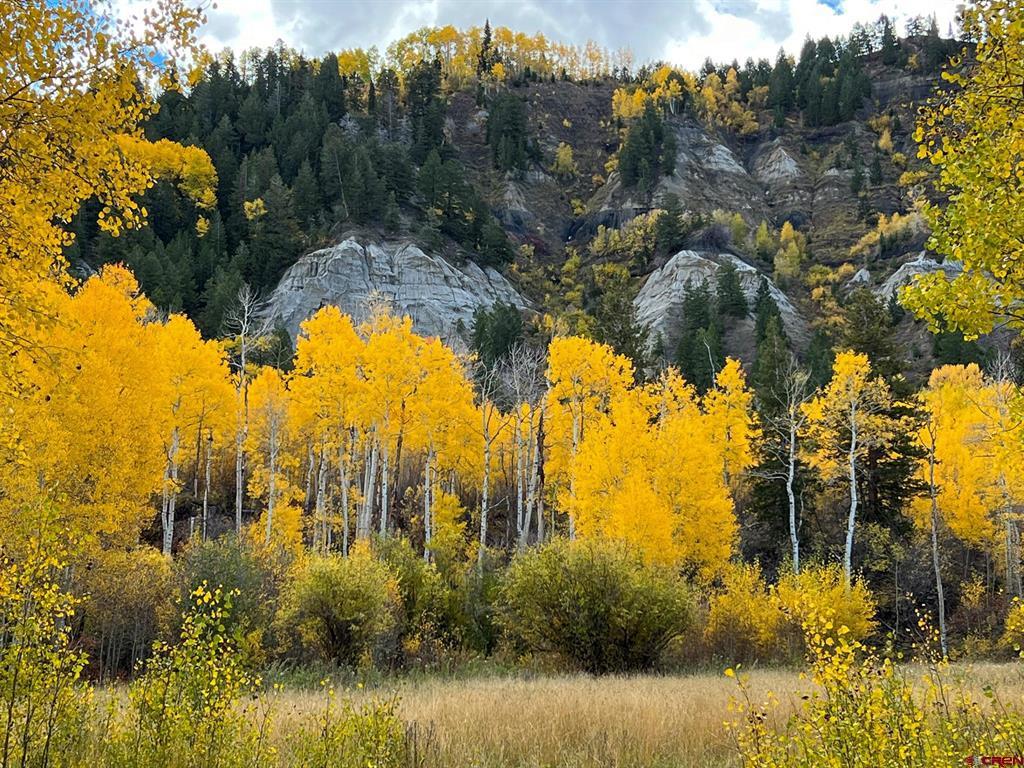 Tbd Buckhorn Mountain Ranch Property Photo 18