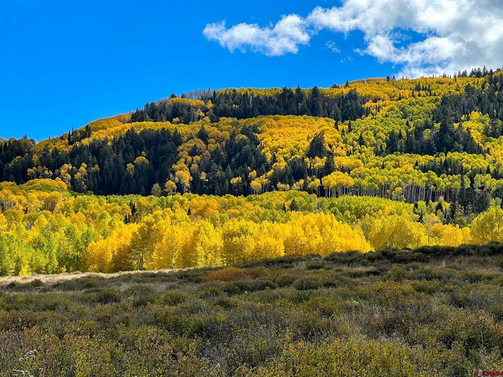 Tbd Buckhorn Mountain Ranch Property Photo 19