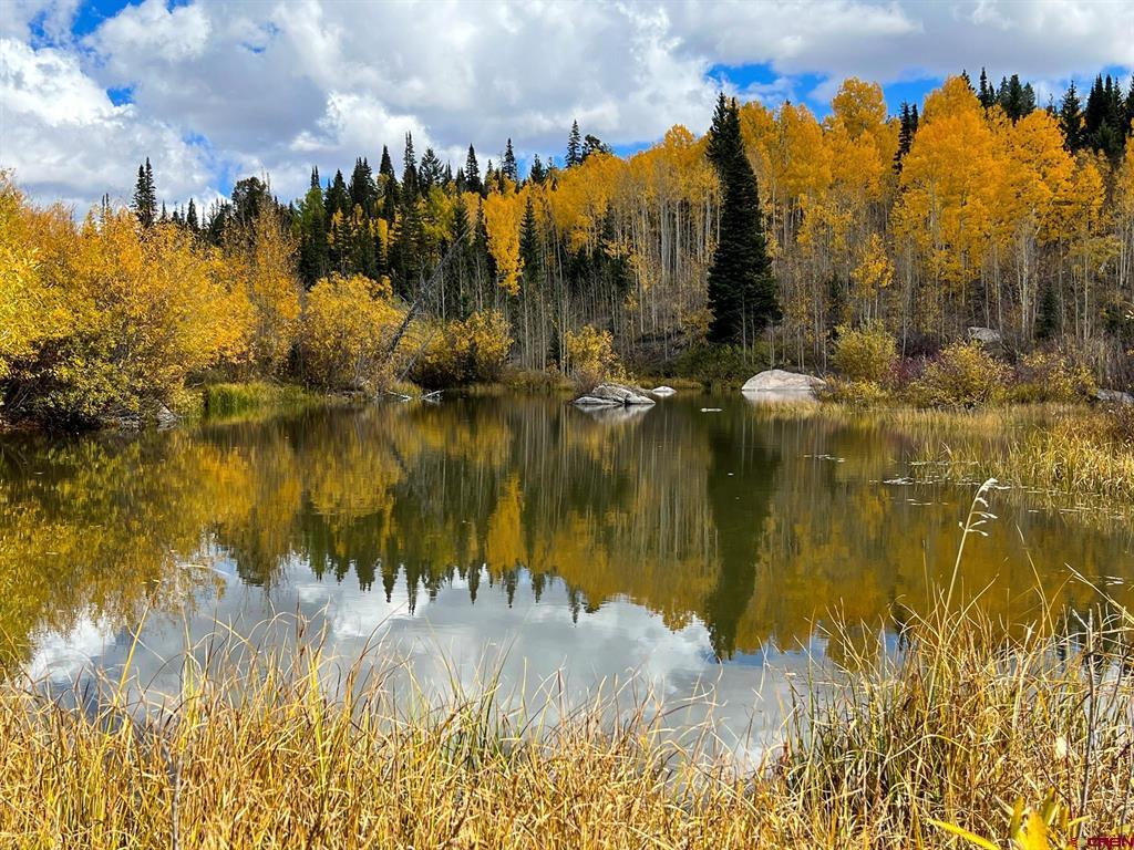 Tbd Buckhorn Mountain Ranch Property Photo 20