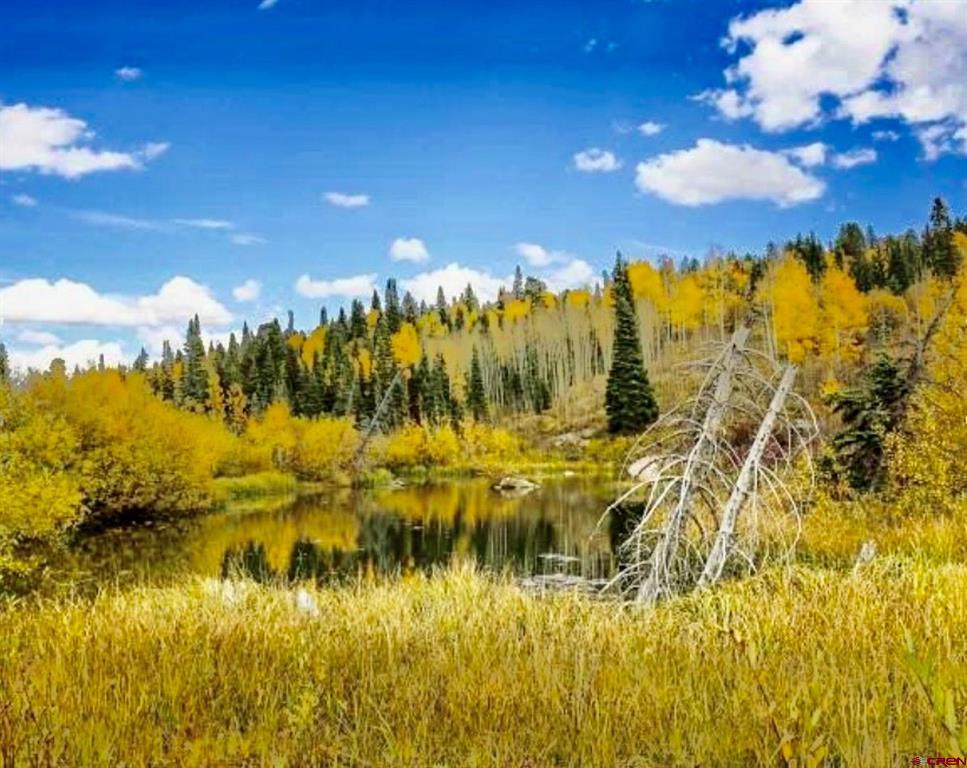 Tbd Buckhorn Mountain Ranch Property Photo 21