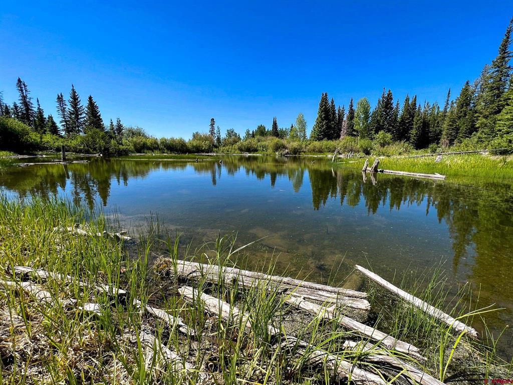 Tbd Buckhorn Mountain Ranch Property Photo 22