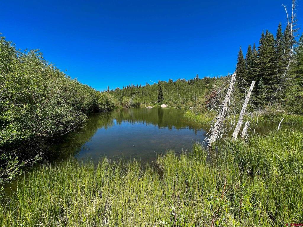 Tbd Buckhorn Mountain Ranch Property Photo 23