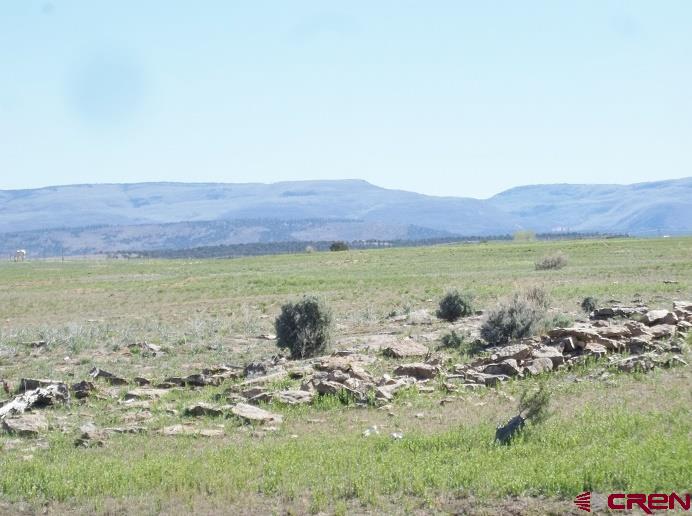 Tbd Highway 145 Property Photo 3
