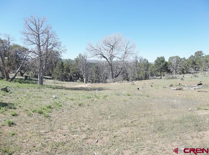 Tbd Highway 145 Property Photo 6