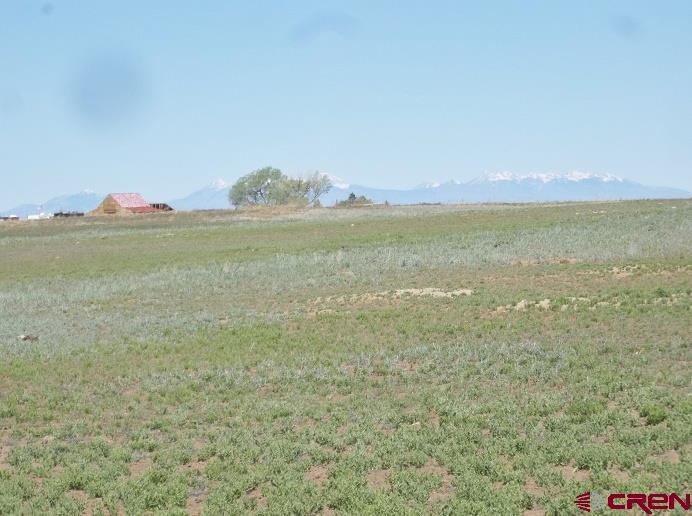 Tbd Highway 145 Property Photo 8