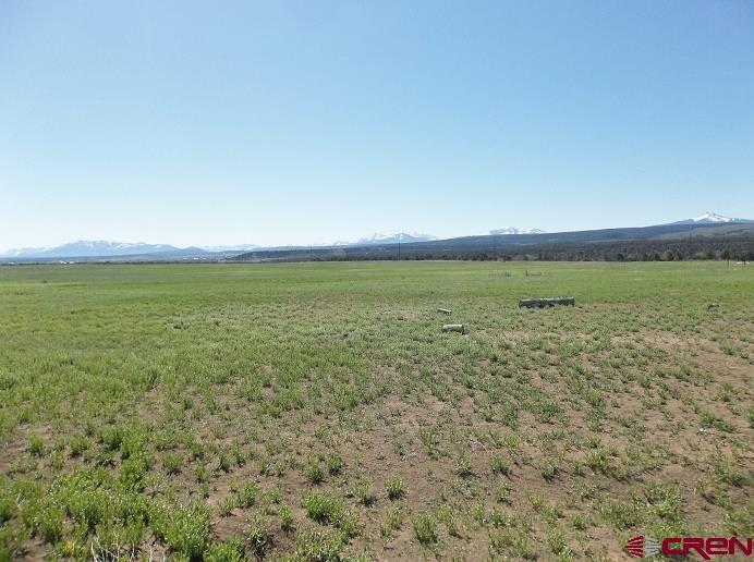 Tbd Highway 145 Property Photo 9