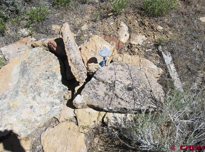 Tbd Highway 145 Property Photo 11