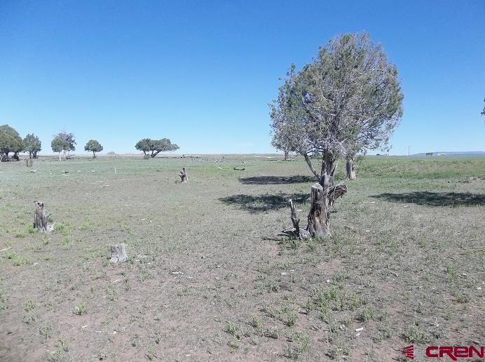 Tbd Highway 145 Property Photo 12