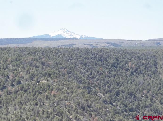 Tbd Highway 145 Property Photo 13