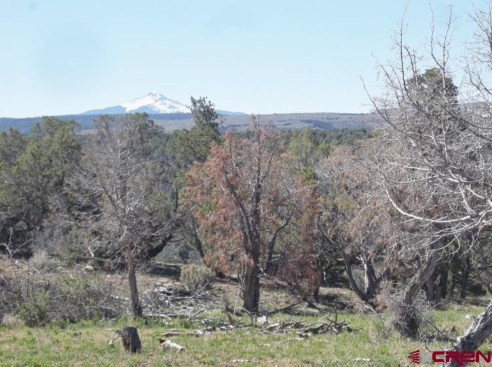 Tbd Highway 145 Property Photo 14