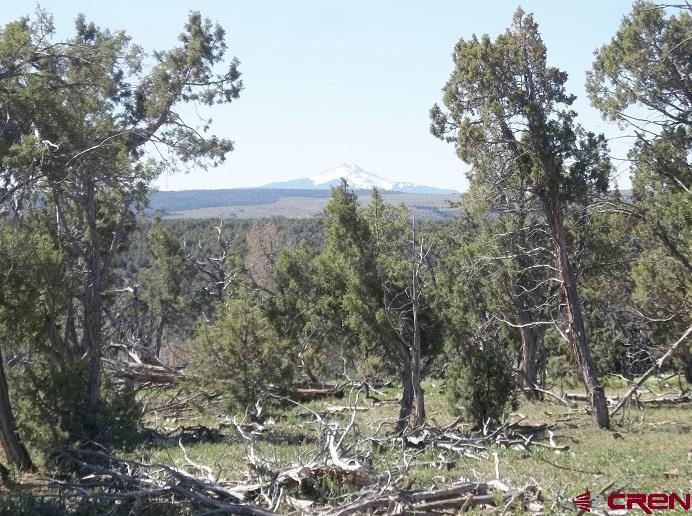 Tbd Highway 145 Property Photo 15