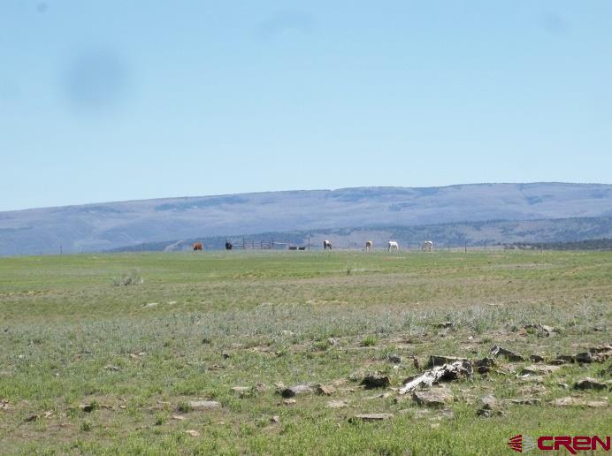 Tbd Highway 145 Property Photo 16