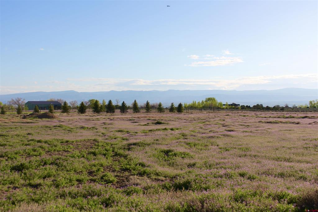 Lot 1 6300 Road Property Photo 5