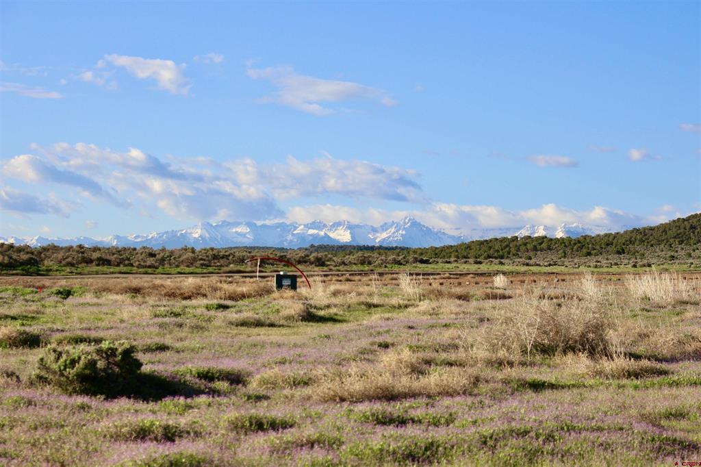 Lot 1 6300 Road Property Photo 16