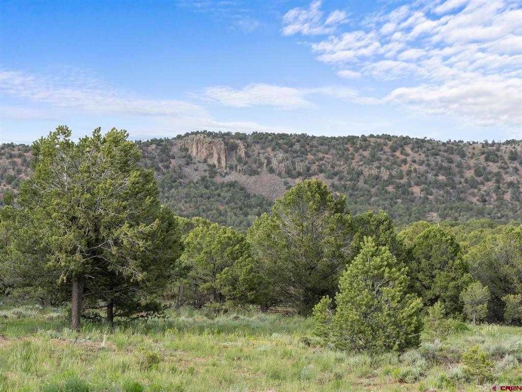 134 Mcclaran Lane Property Photo 33