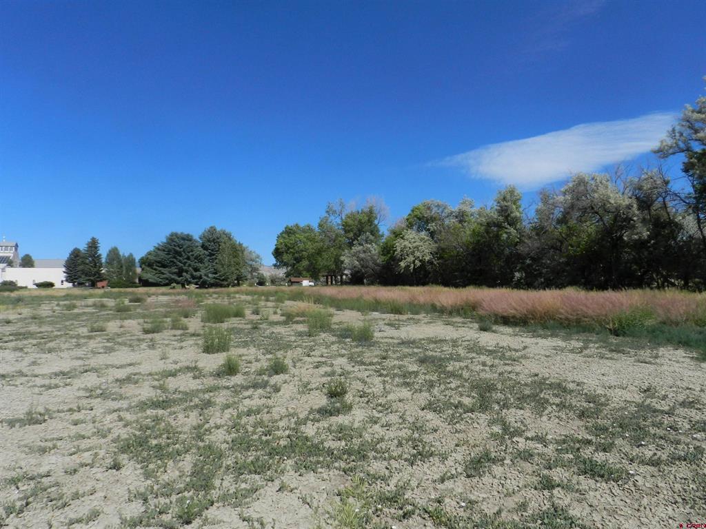 Tbd Montrose Dr, Site C Property Photo 5