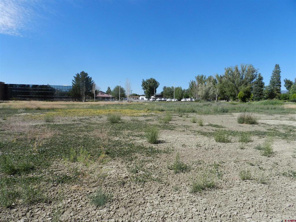Tbd Montrose Dr, Site C Property Photo 8