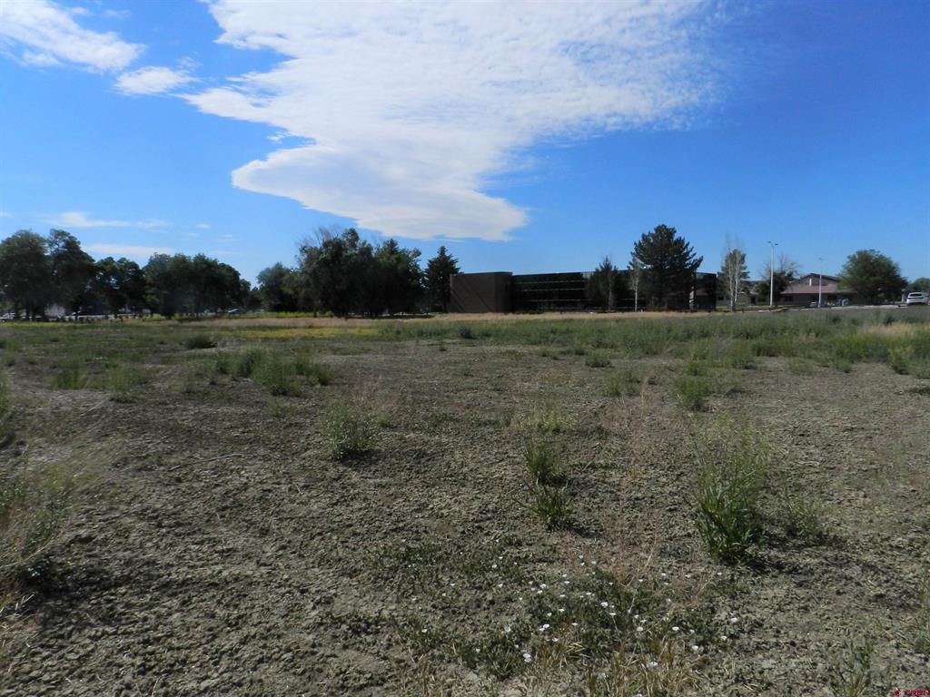 Tbd Montrose Dr, Site C Property Photo 10