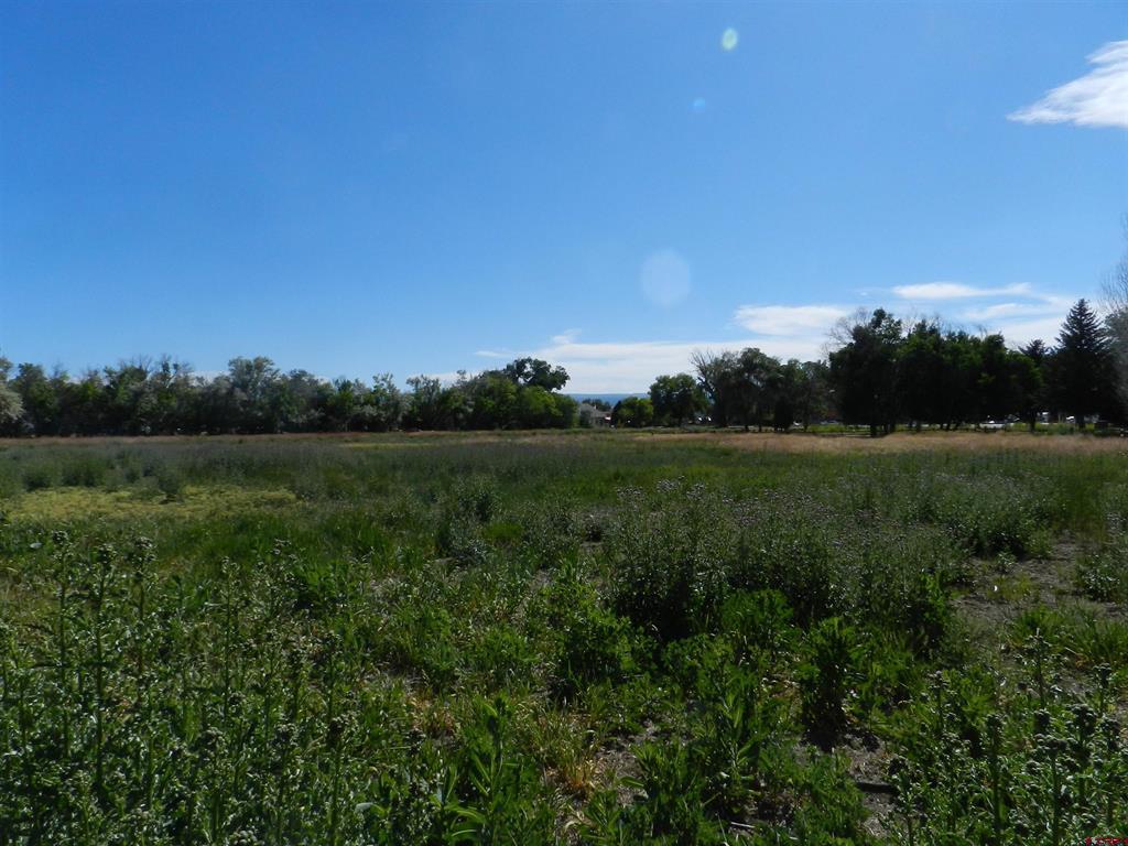 Tbd Montrose Dr, Site C Property Photo 11