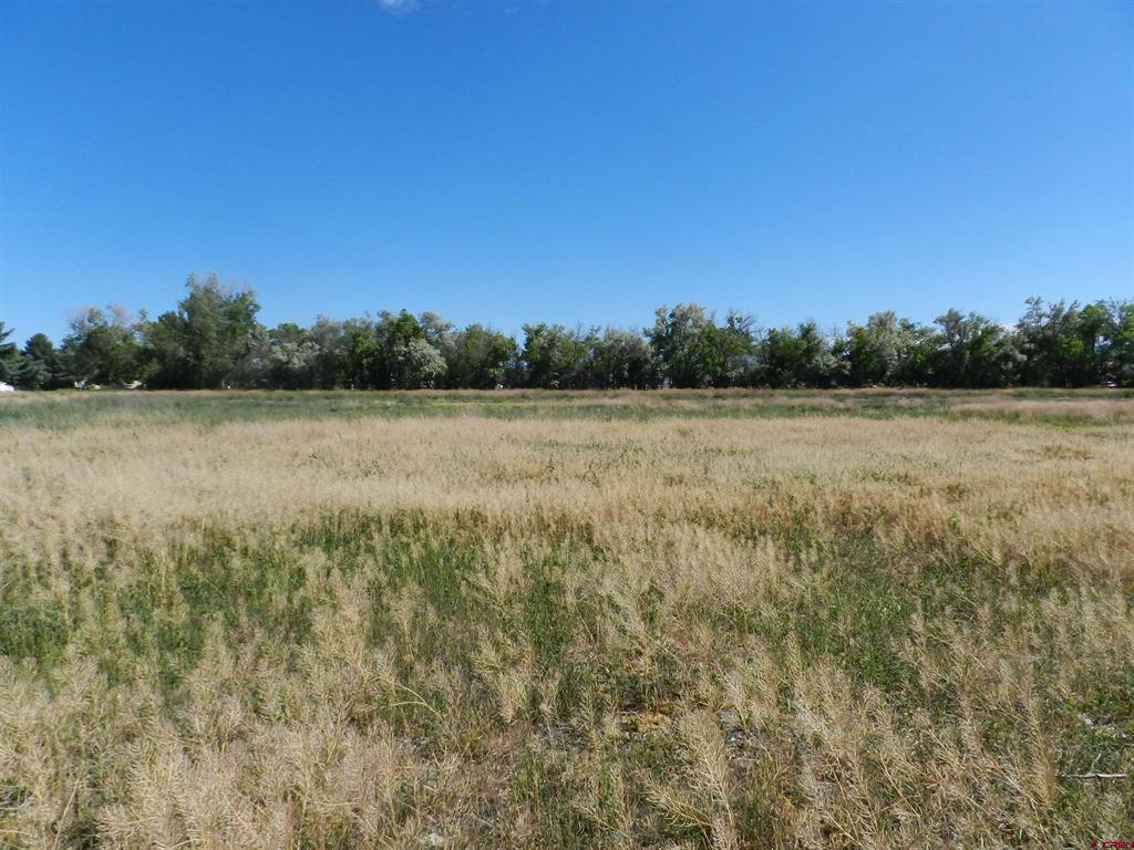 Tbd Montrose Dr, Site C Property Photo 12