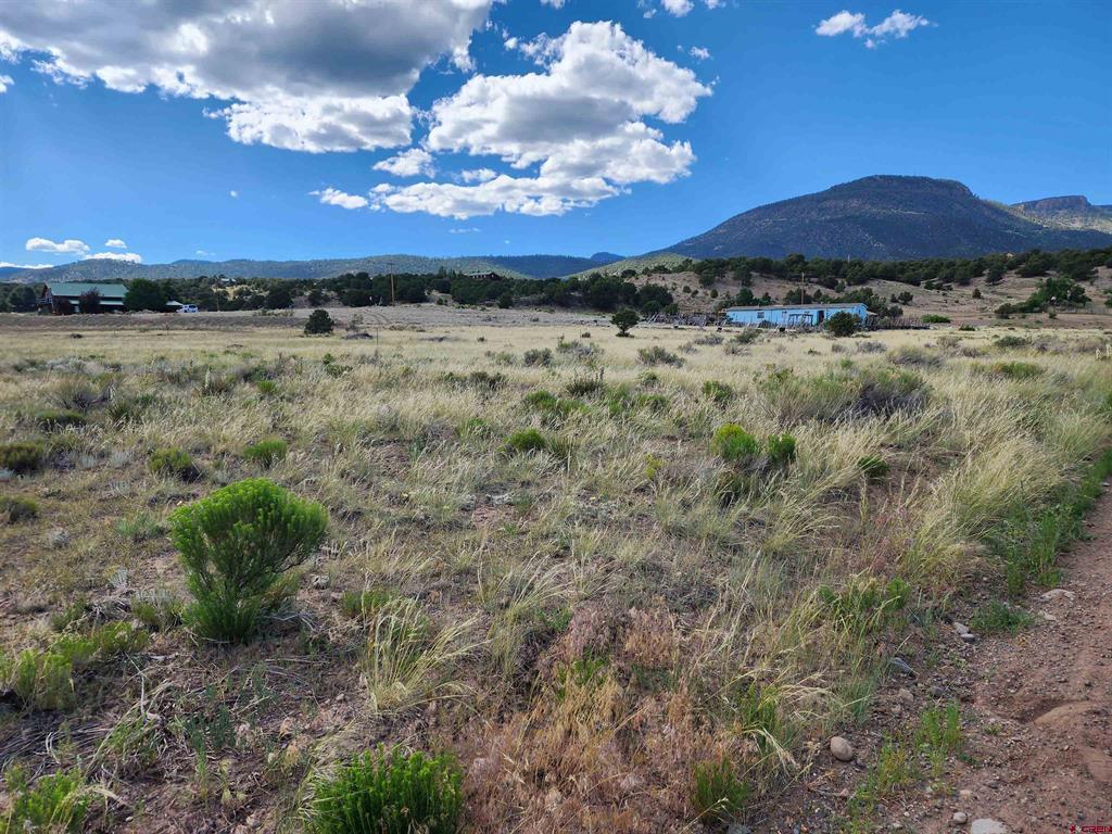 1275 Mohee Rd Property Photo 1
