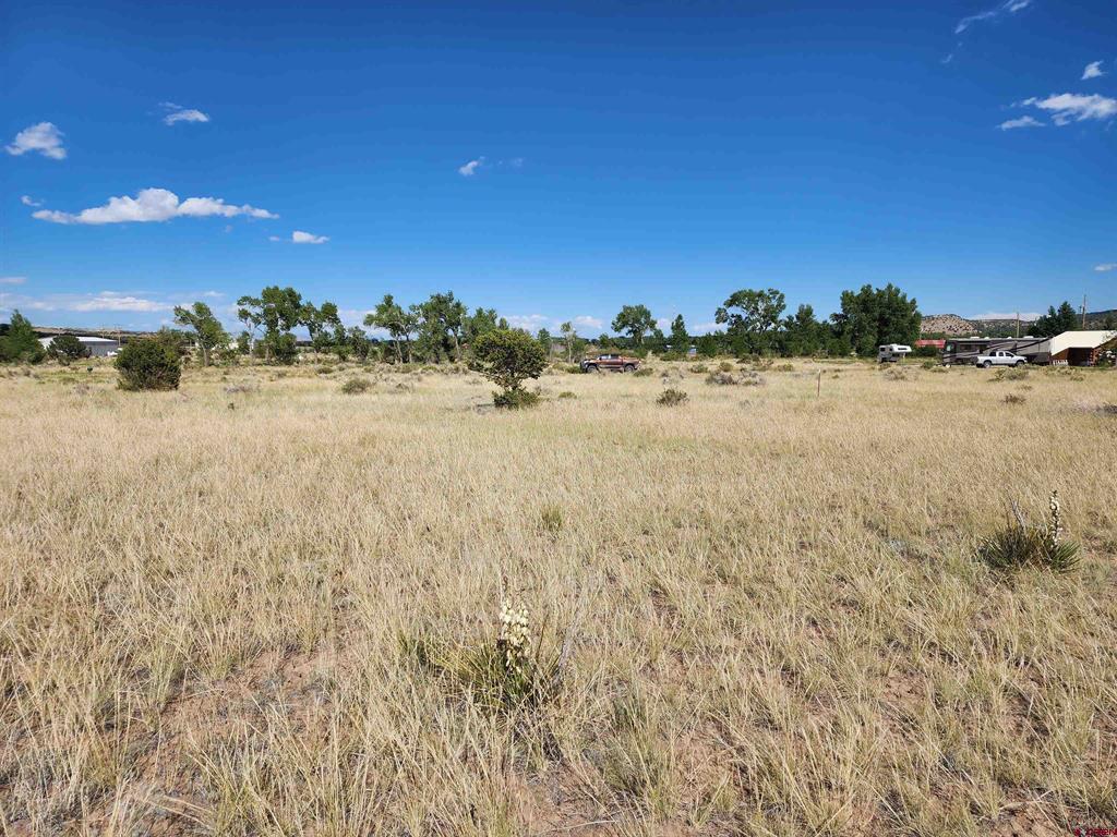 1275 Mohee Rd Property Photo 2