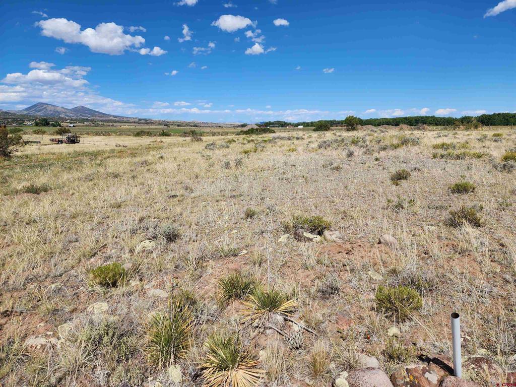 197 Pink Cloud Rd Property Photo 1