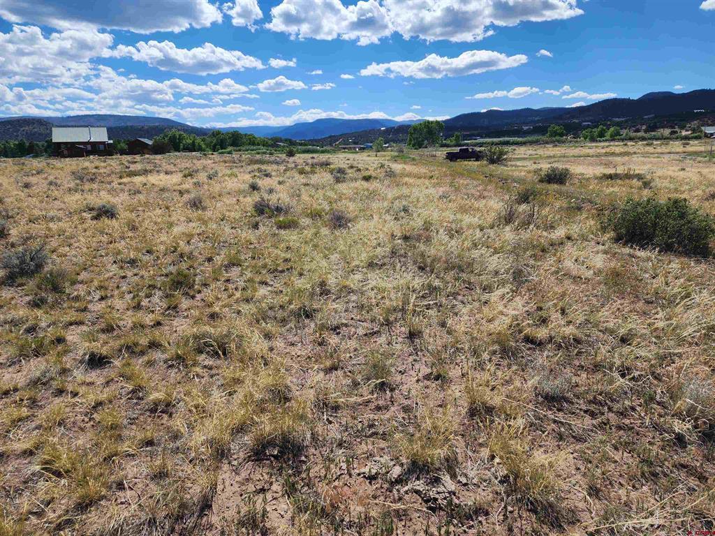197 Pink Cloud Rd Property Photo 2