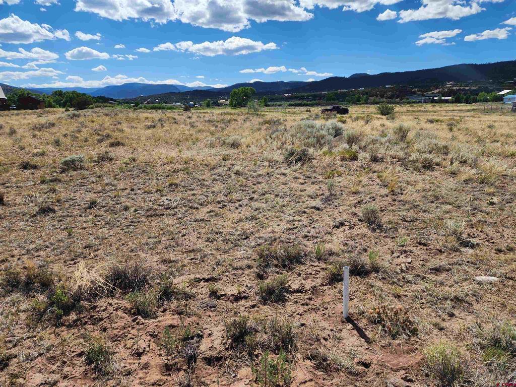 197 Pink Cloud Rd Property Photo 3