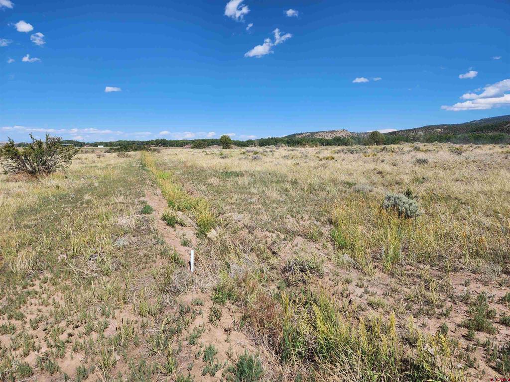 197 Pink Cloud Rd Property Photo 4