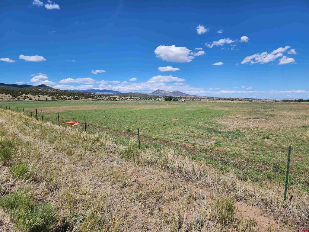 197 Pink Cloud Rd Property Photo 8