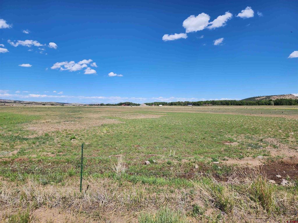 197 Pink Cloud Rd Property Photo 9