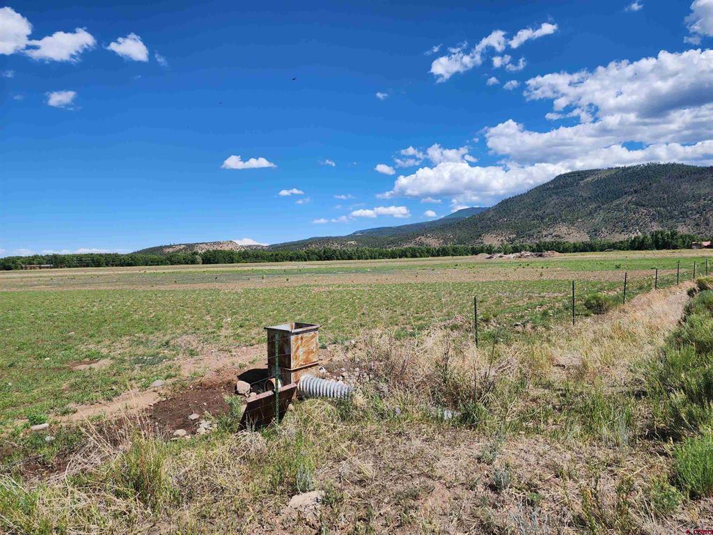 197 Pink Cloud Rd Property Photo 10