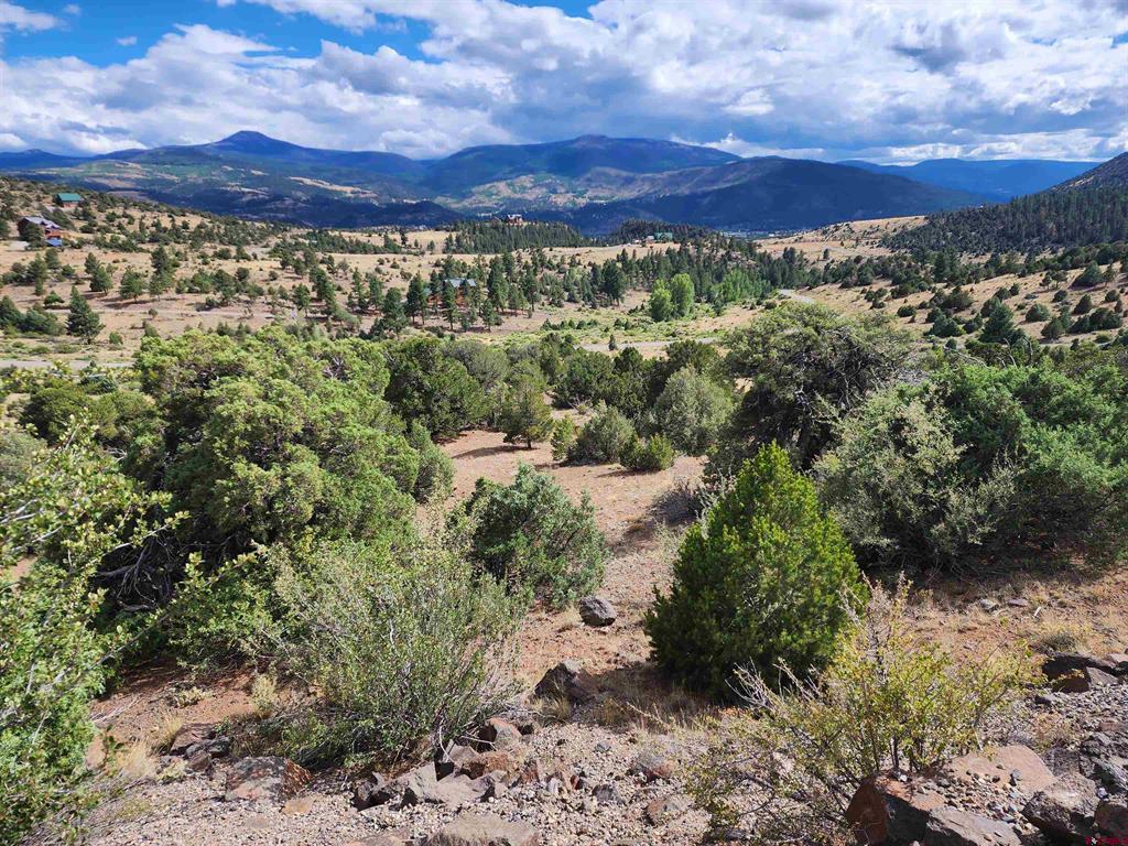 2867 Bear Creek Cir Property Photo 2