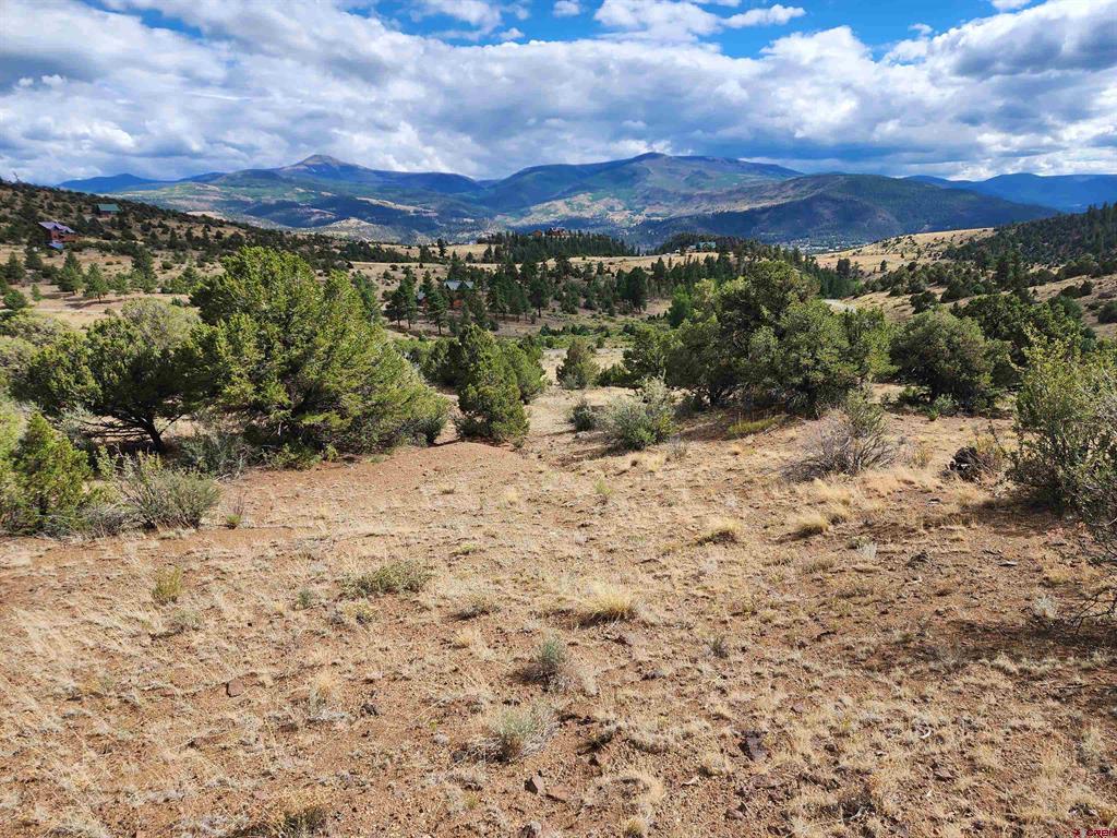 2867 Bear Creek Cir Property Photo 1
