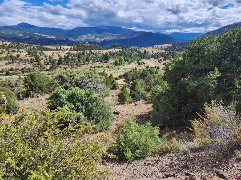 2867 Bear Creek Cir Property Photo 3