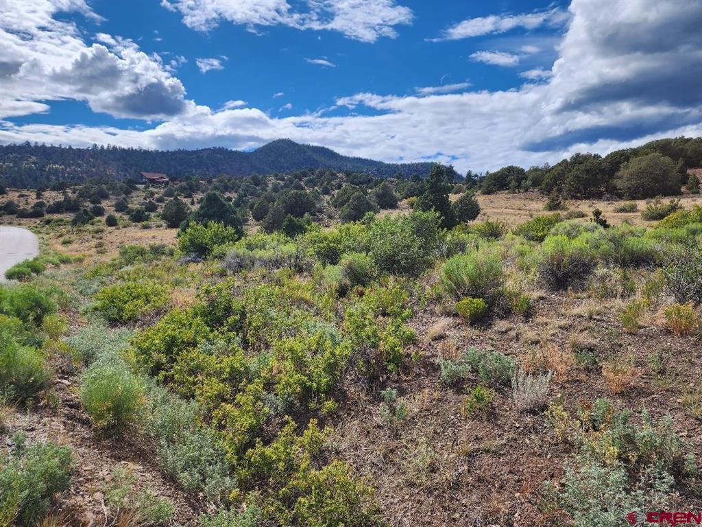 2867 Bear Creek Cir Property Photo 6