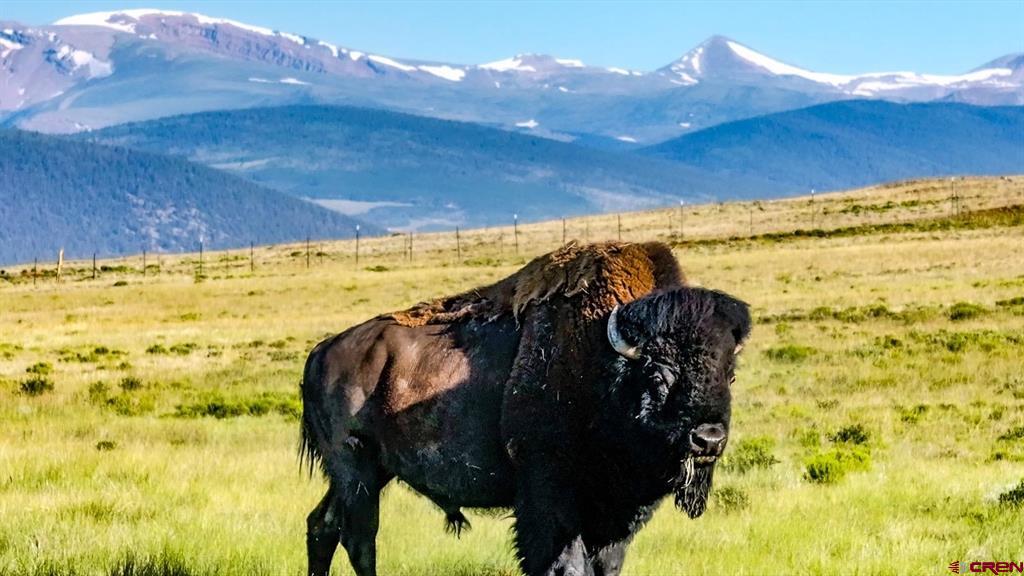 9173 Highway 24 Property Photo 3