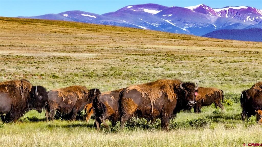 9173 Highway 24 Property Photo 4