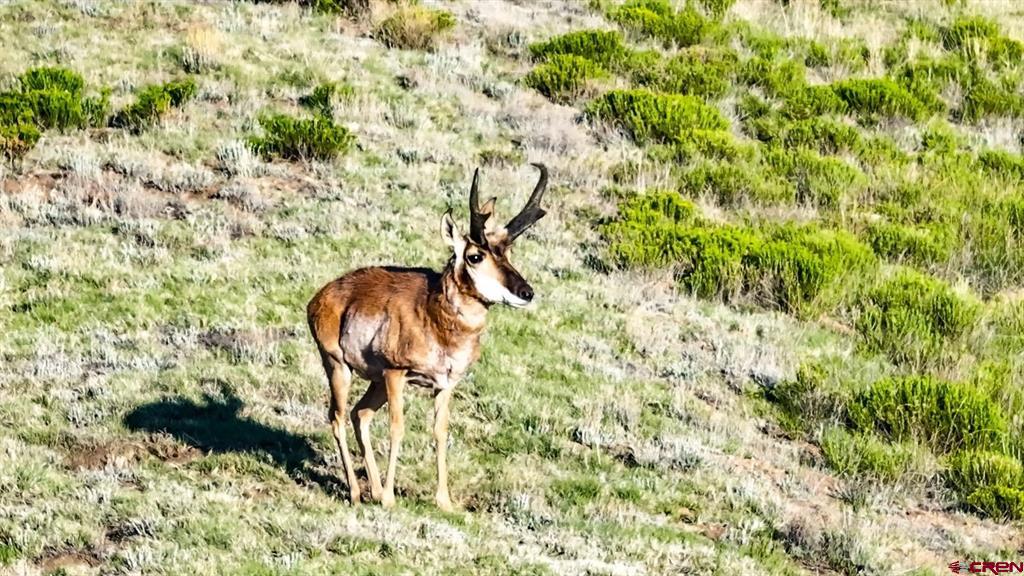 9173 Highway 24 Property Photo 5