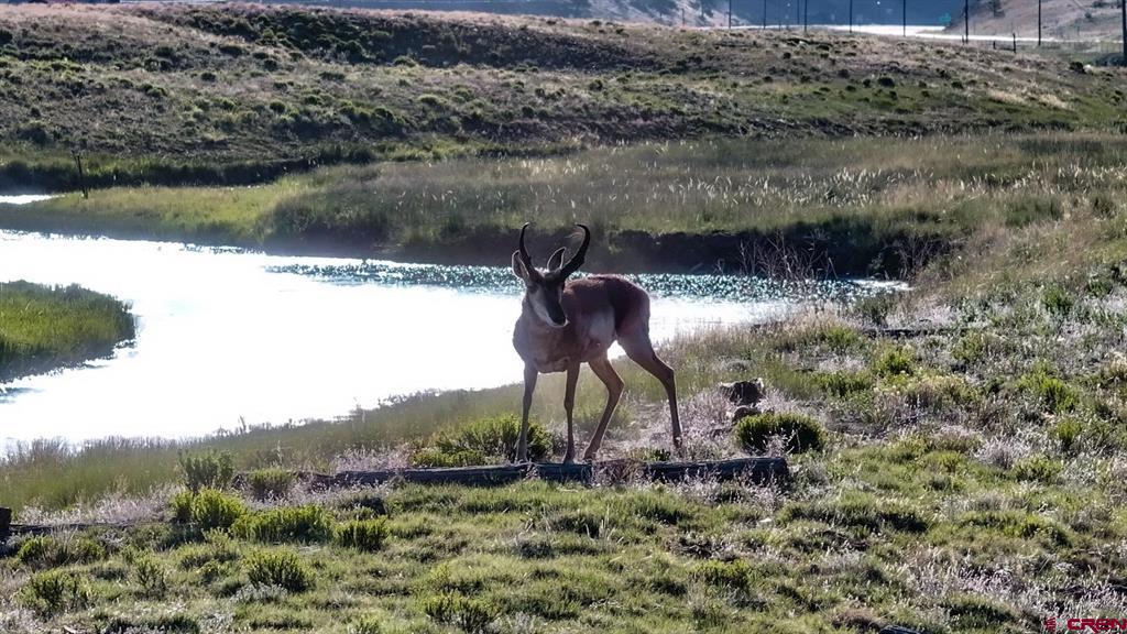 9173 Highway 24 Property Photo 7