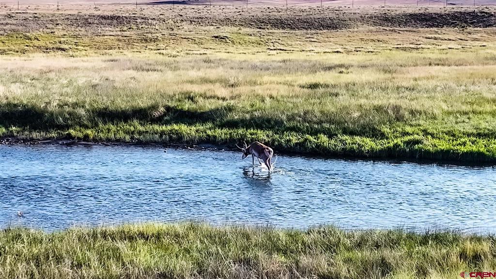 9173 Highway 24 Property Photo 9