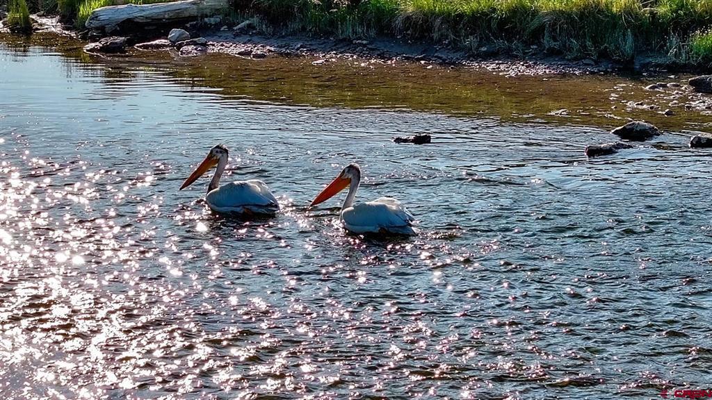 9173 Highway 24 Property Photo 10