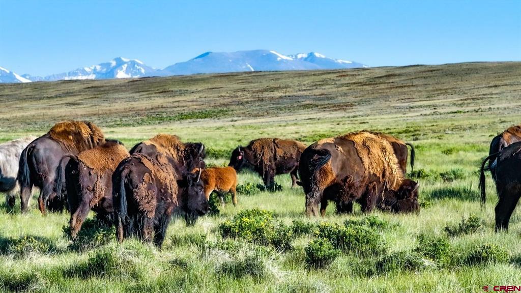 9173 Highway 24 Property Photo 11