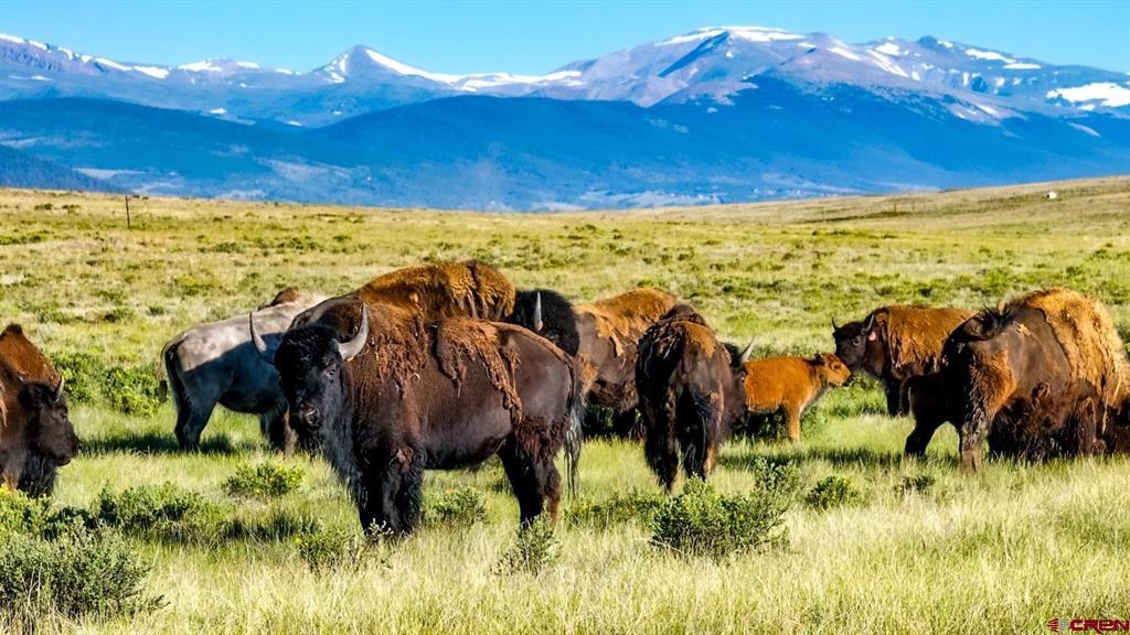 9173 Highway 24 Property Photo 12