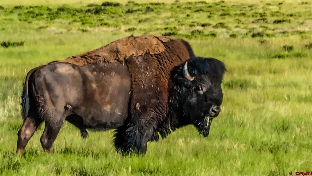 9173 Highway 24 Property Photo 13